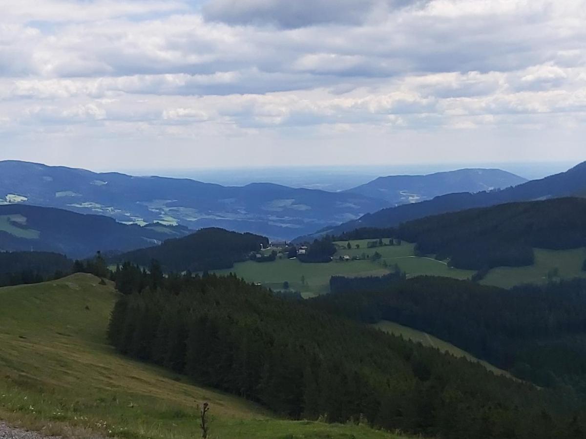 Haus Fernblick Apartman Birkfeld Kültér fotó