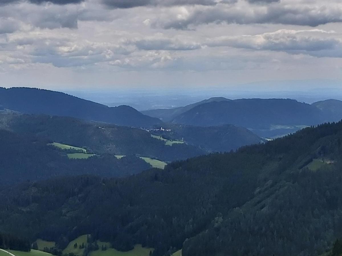 Haus Fernblick Apartman Birkfeld Kültér fotó