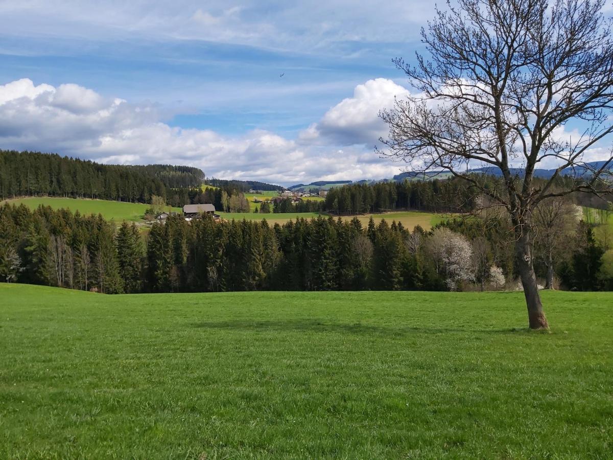 Haus Fernblick Apartman Birkfeld Kültér fotó